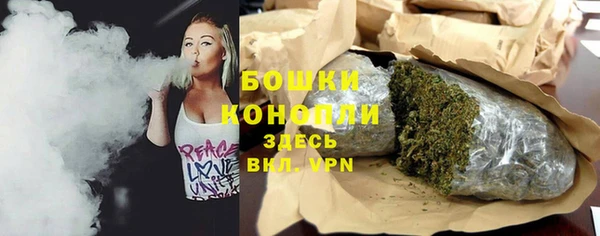гидра Приозерск