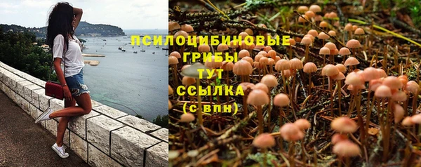 а пвп мука Алзамай