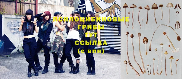 скорость Протвино