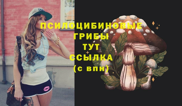 а пвп мука Алзамай